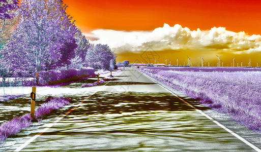 高分辨率的美丽的紫红外线风景森林花园日落旅行公园季节农村叶子街道树木寒冷的高清图片素材