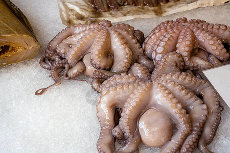 出售的新鲜章鱼生的高清图片素材