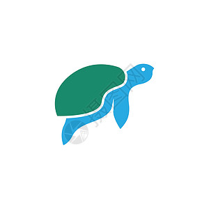 海龟乌龟 水生野生动物游泳 简易简易登录插图高清图片素材