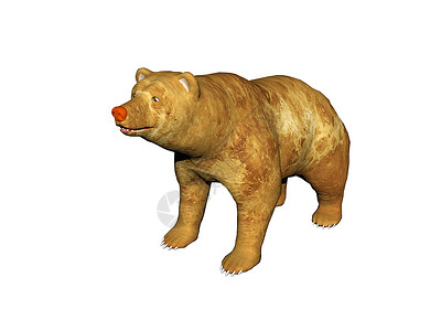 大熊大熊 有爪掌哺乳动物爪子灰色鼻子棕熊捕食者牙齿棕色毛皮背景图片