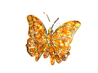 金金可爱的漫画蝴蝶背景图片