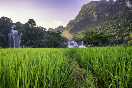 优美瀑布风景Ban Gioc  越南高邦的德台瀑布世界库存风景水池旅行荒野热带森林瀑布天线背景