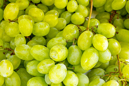 绿葡萄植被水果庆典营养市场季节季节性收成酿酒白色背景图片