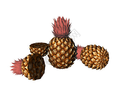 新鲜采收的果汁菠萝食物维生素鳞片状水果背景图片