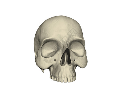 长着牙齿的人类头骨眼窝棕色水晶颧骨骨头下颚假牙骷髅背景图片