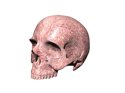 长着牙齿的人类头骨骷髅水晶下颚骨头假牙眼窝棕色颧骨背景图片