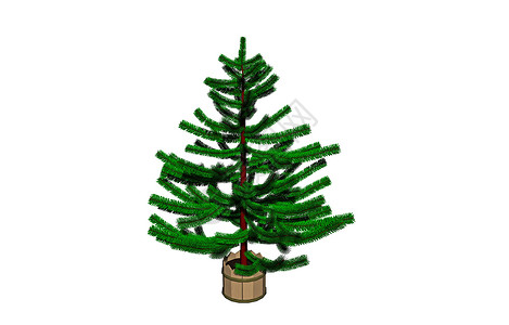 绿色的圣诞树立立针叶树棕色枞树分支机构背景图片