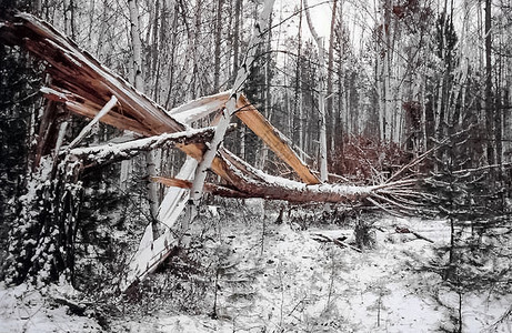 松树断裂 松树破碎叶子风景树干梗阻木头气旋木材虚拟机损害林业背景图片