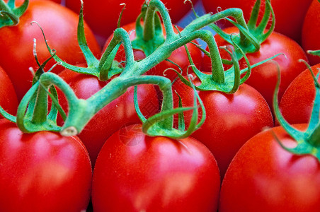 番茄烹饪蔬菜水果厨房红色背景图片