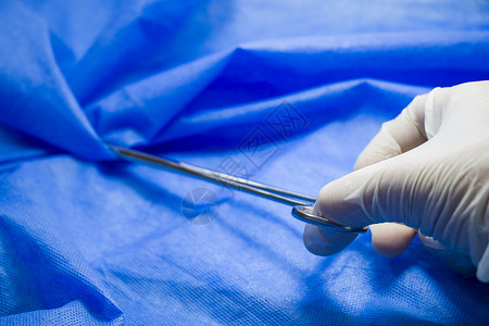 医生手中的手术钳 在蓝色背景下 工作室拍摄 操作设备 手术过程手套程序医院诊所实验室解剖学乐器刀刃外科钳子背景