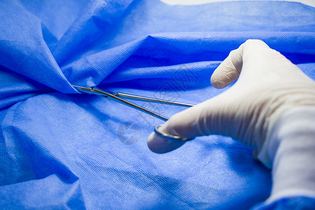 医生手中的手术钳 在蓝色背景下 工作室拍摄 操作设备 手术过程解剖学程序外科工具诊所手术台采摘钳子药品乐器背景