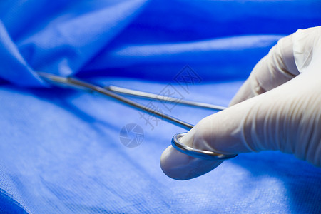 医生手中的手术钳 在蓝色背景下 工作室拍摄 操作设备 手术过程手术台解剖学手套医院金属工具程序乐器刀刃钳子背景