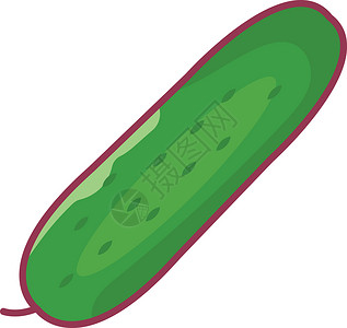 有机泡菜沙拉蔬菜植物种子绿色插图营养食物水果插画