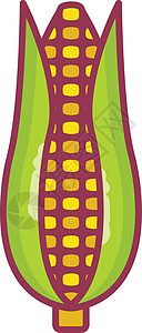 玉米蔬菜植物插图收成健康棒子食物食品农业营养背景图片