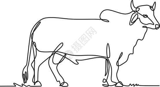 牛线公牛常边视图连续线绘制黑白线插图设计图片