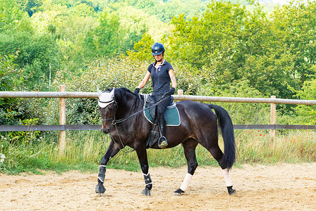 训练骑手和穿着装的海湾马马术舞步骑师女士棕色展示黑色竞赛马背动物黑色的高清图片素材