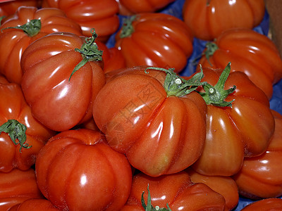 番茄红色烹饪水果厨房蔬菜背景图片