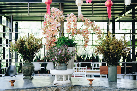 兰花灯笼在餐厅装饰花瓶中的兰花花装潢叶子热带花瓣兰花植物群风格植物花园背景