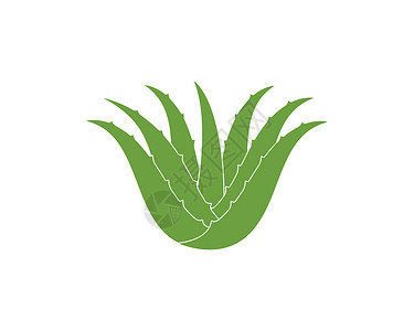 芦荟凝胶芦荟标志图标矢量插图设计药品叶子肉质白色草本植物绿色植物学生长植物凝胶插画