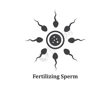 女性生殖解剖学精精精图标图标徽标矢量说明设计解剖学生育力胚胎女性生殖科学怀孕妇科卵子插图设计图片