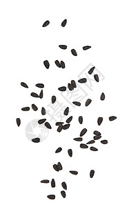 白向日葵籽向日葵小吃农业棕色粮食麻布材料解雇黑色白色背景图片