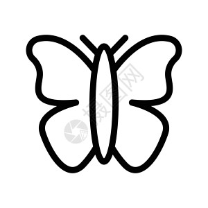 昆虫插图标识动物收藏艺术白色庆典翅膀黑色公园背景图片