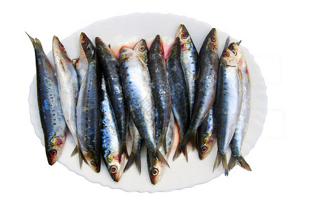 白色盘子上的新鲜沙丁鱼 与世隔绝蓝色的高清图片素材
