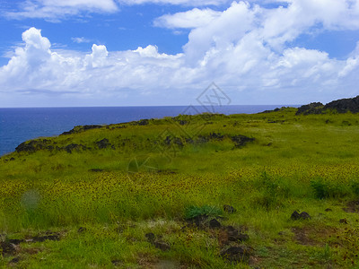 复活节岛 地貌 植被和海岸的自然性质公园旅游海岸线假期海滩晴天雕像天空太阳热带海景高清图片素材