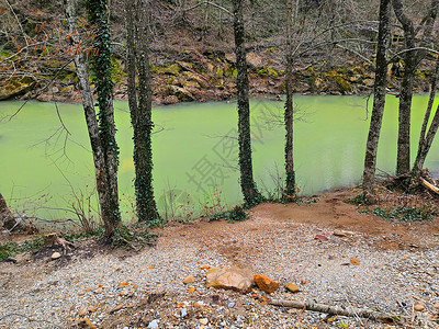 绿河 有树在岸边 春天环境天空晴天岩石季节旅游蓝色森林溪流场景地平线高清图片素材