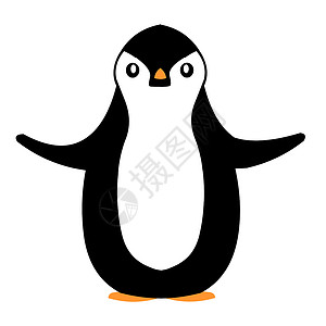 企鹅快乐白色动物园动物姿势黑色背景图片