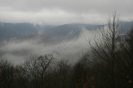 北卡罗来纳州蓝脊山脉旅行山脉森林背景图片