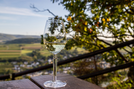 白葡萄酒摩泽尔河谷浆果图片素材