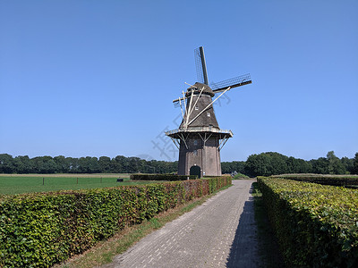 Vilsteren的风车绿色小路蓝天背景图片