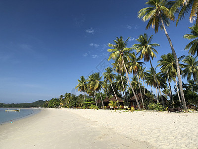 泰国Koh Mook海滩阴影天空低潮平房背景图片