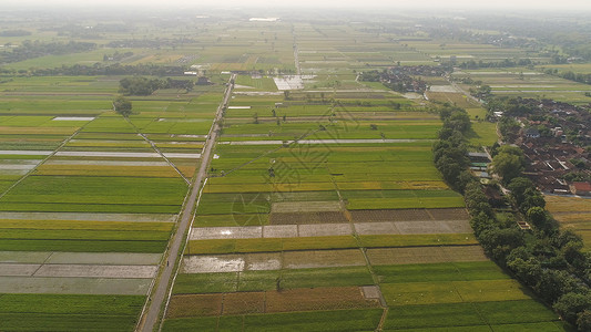 农村用地印度的稻田和农业用地面积农村土地农场生长环境植物鸟瞰图场地旅行景观背景