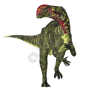 Altirhinus 恐龙阵线高清图片