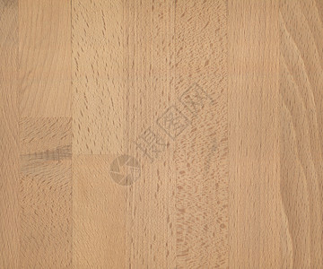 浅棕色木材纹理背景植物材料植被墙纸褐色木头样本背景图片