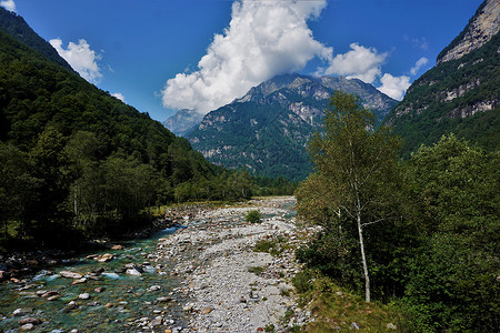 河床跑道蒂西诺州Verzasca山谷典型地貌背景