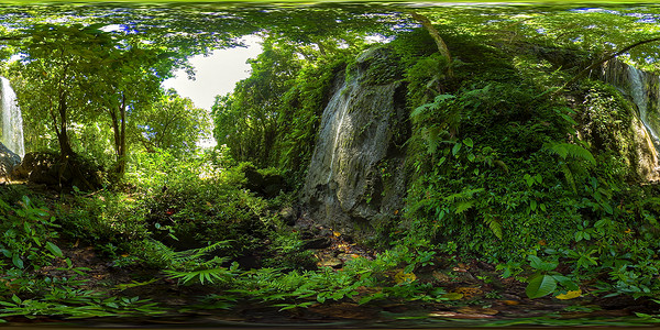 美丽的热带瀑布 菲律宾波霍尔川山瀑布 虚拟现实360号旅游绿叶风景植物流动木头植被荒野峡谷溪流背景图片