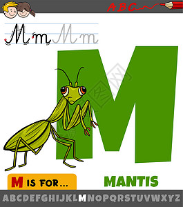 螳螂形象带有卡通螳螂昆虫的字母表中的字母 M插画