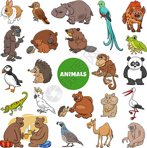 卡通野生动物人物大 se海雀树蛙哺乳动物兔子骆驼单峰壁虎鬣狗团体卡通片背景图片