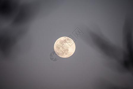明亮的月亮月光星星天文学月球行星科学辉光星系天空卫星背景图片