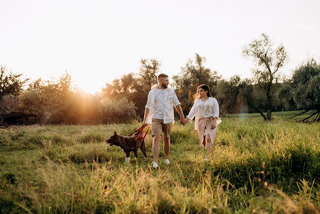 男人皮带大狗跟一个男人和一个女孩散步绿色夫妻飞盘男人跑步树木乐趣棕色活力晴天背景