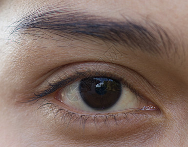 一只眼睛近在眼前 年轻的亚洲女人 有美丽的眉毛 治疗毛虫的虹膜的概念巩膜验光男人女士角膜化妆品睫毛女孩皮肤眼球背景图片
