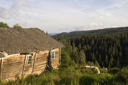 Skeikampen附近的旧小屋高清图片