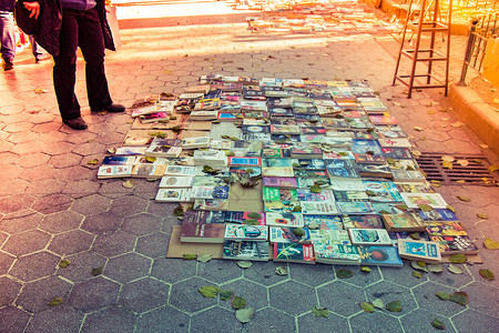 在阳光下铺在地上出售的二手书太阳男人绿色文学图书馆地面知识树叶二手阅读背景图片