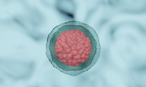 干细胞治疗3d 人体细胞或胚胎干细胞显微镜背景  3d 渲染宏观生活核仁插图生物癌症基因生物学药品治疗背景