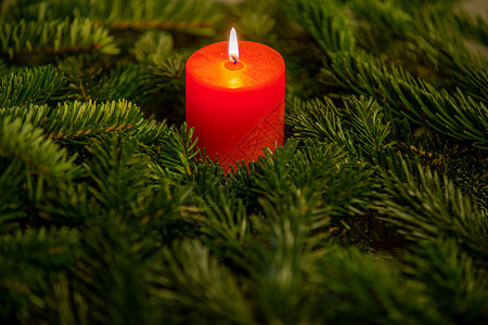 圣诞主题 红色燃烧的蜡烛被诺德曼冷杉树枝包围高清图片