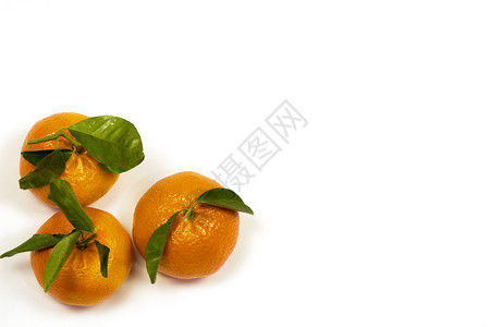 三种橘子 白色背景的绿色叶子食物橙子小吃工作室水果饮食橘味甜点果汁皮肤背景图片