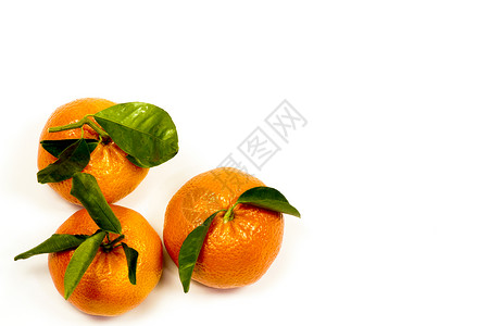 三种橘子 白色背景的绿色叶子食物皮肤工作室橙子水果清爽饮食橘味甜点果汁背景图片